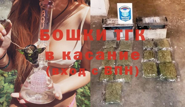 индика Балахна