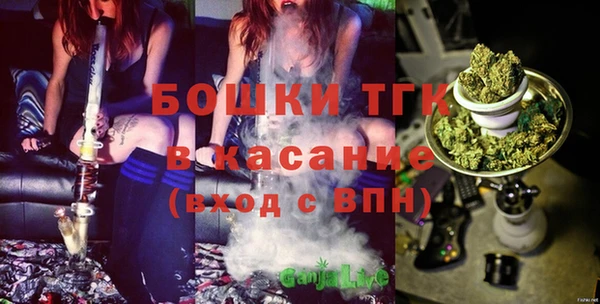индика Балахна