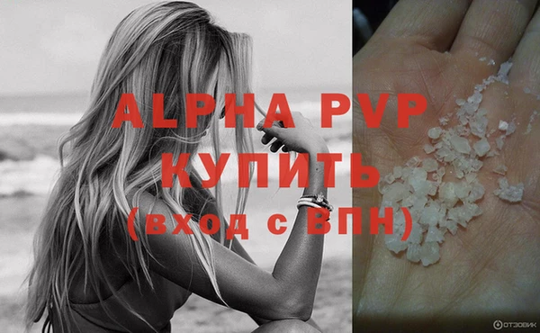 хмурый Белокуриха