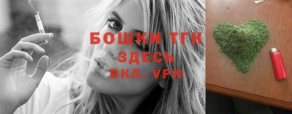 индика Балахна