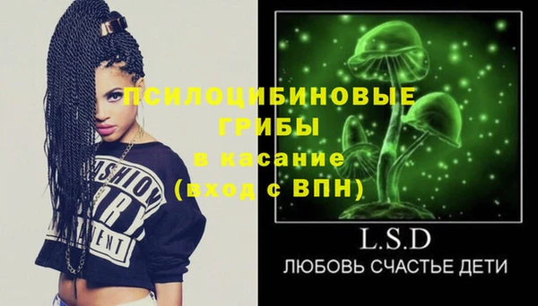 индика Балахна