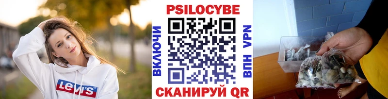гидра как войти  Кувандык  Псилоцибиновые грибы Magic Shrooms 
